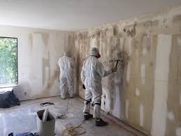 Reliable Menands, NY Mold Prevention & Removal  Solutions